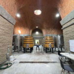 San Miguel de Allende: A Journey Through Vineyards - The Itinerary: What to Expect