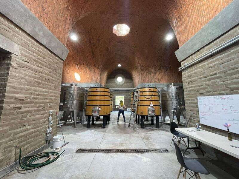 San Miguel de Allende: A Journey Through Vineyards - The Itinerary: What to Expect