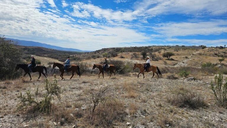 San Miguel de Allende: Breakfast Horseback Ride To Nirvana - What Makes This Experience Stand Out?