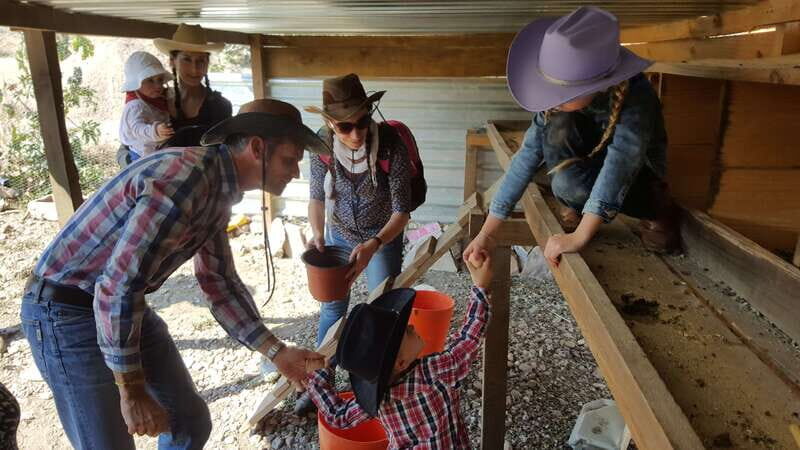 San Miguel de Allende: Full-Day Ranch Adventure - Scenic Horseback Riding and Canyon Exploration