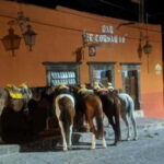 San Miguel de Allende: Horseback Riding Cantinas Tour - Visiting the Cantinas