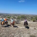 San Miguel de Allende: Horseback Riding Tour - What to Expect on the Ground and in the Saddle
