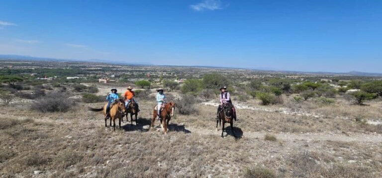 San Miguel de Allende: Horseback Riding Tour - What to Expect on the Ground and in the Saddle