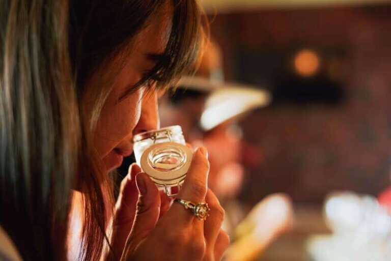 San Miguel de Allende: Independence Valley Wine Route - The Itinerary: From Vines to Glass