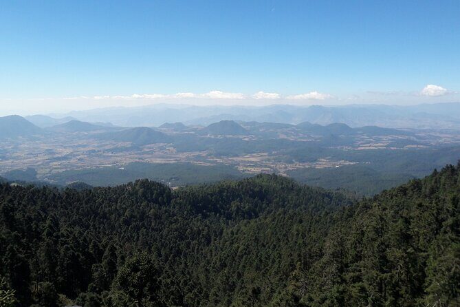 San Miguel de Allende Monarch Butterflies Tour - Value and Practicalities