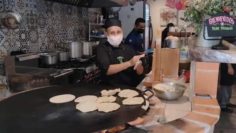 San Miguel de Allende: Taco al pastor and handmade tortilla cooking class - Is This Experience Right for You?