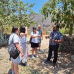 San Sebastian del Oeste: Tequila Tasting and Coffee Tour - Who Should Consider This Tour?