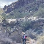 San Tan Regional Park: Sonoran Desert Mountain Bike Tour - Who Should Consider This Tour?