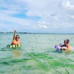 Sandbar, Beach, Dolphin Watching Cruise Sarasota, Florida - Frequently Asked Questions