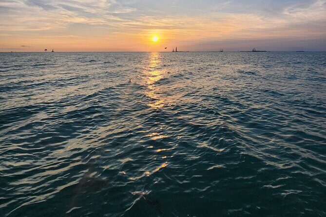Sandbar Excursions with Snorkeling and Sunset Cruises in Key West - The Sum Up