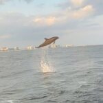 Sandestin Sunset Eco-Dolphin Cruise Aboard Sol y Luna - A Final Word of Caution and Tips