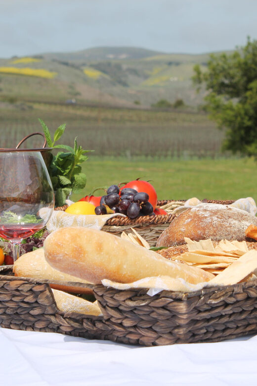 Santa Barbara: E-bike wine tour w/ transport, tasting, lunch - What’s Included and Practical Details