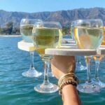 Santa Barbara Happy Hour on a Yacht - Who Should Consider This Tour?