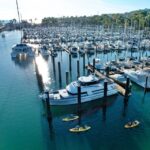 Santa Barbara Harbor: Wildlife Kayak Tour (2 Hours) - Why Choose This Experience?