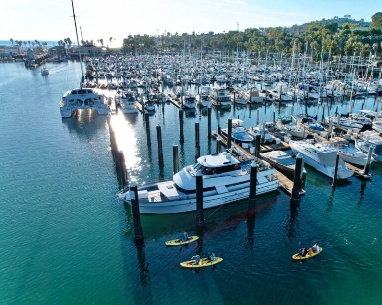 Santa Barbara Harbor: Wildlife Kayak Tour (2 Hours) - Why Choose This Experience?