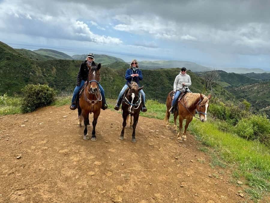 Santa Barbara: Scenic Canyon Horseback Riding Tour - Authentic Insights from Travelers