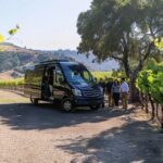 Santa Barbara, Solvang, Wine Country Private from Los Angeles - An In-Depth Look at the Tour Experience