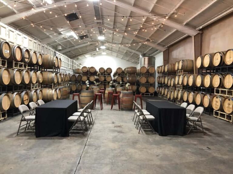 Santa Cruz: Wine Tasting Experience - The Importance of the Guides