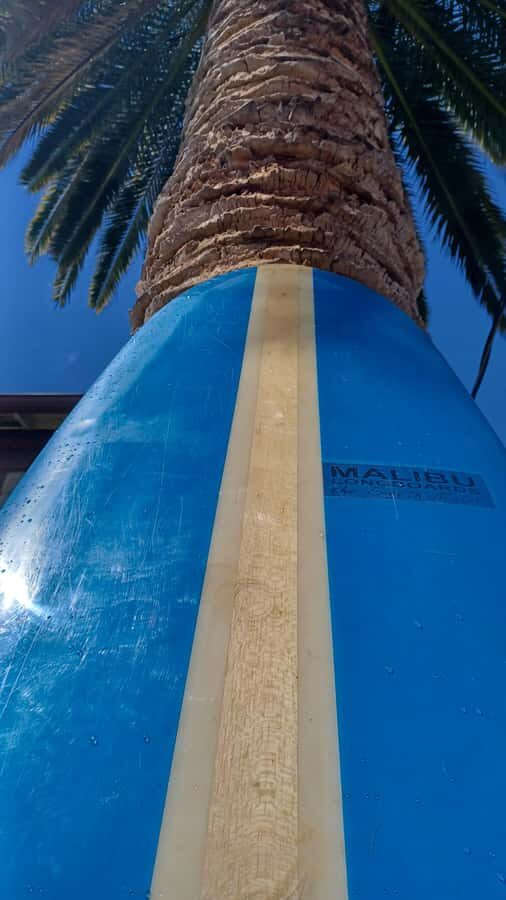 Santa Monica: Surfboard and Wetsuit Rental - Authentic Beach Experiences & Genuine Value
