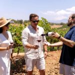 Santa Ynez: 3 Winery Tour with Picnic Lunch & Local Pickup - Transportation & Group Dynamics