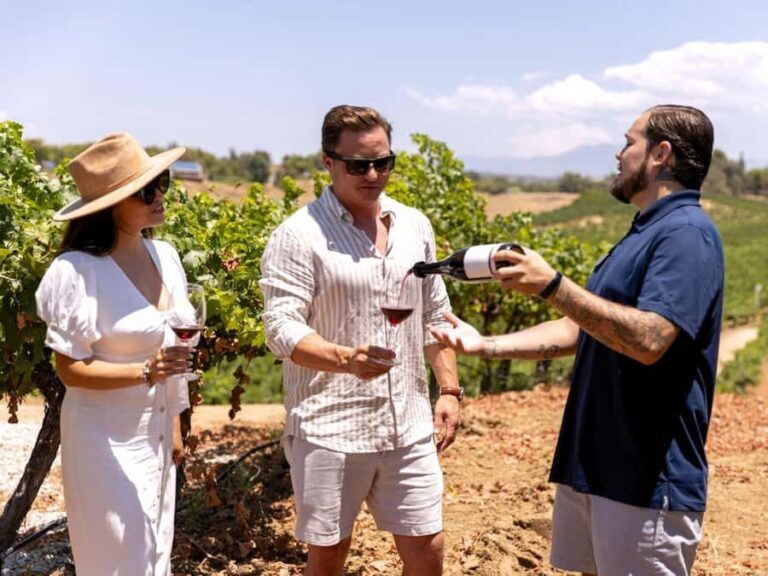 Santa Ynez: 3 Winery Tour with Picnic Lunch & Local Pickup - Transportation & Group Dynamics