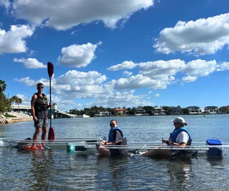 Sarasota: Clear Kayak Mangrove Tunnel Eco Tour - The Itinerary in Detail