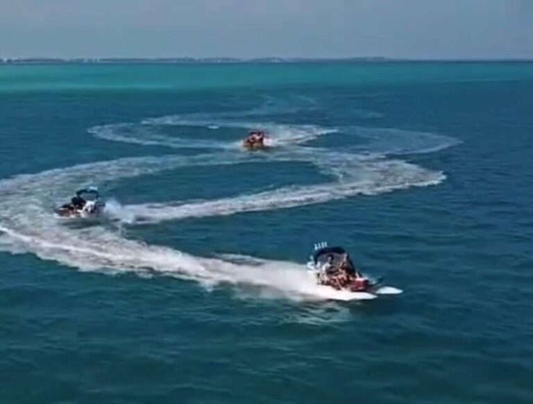 Sarasota: Island Adventures & Catamaran Speedboat Tour - Why This Tour Is a Good Value