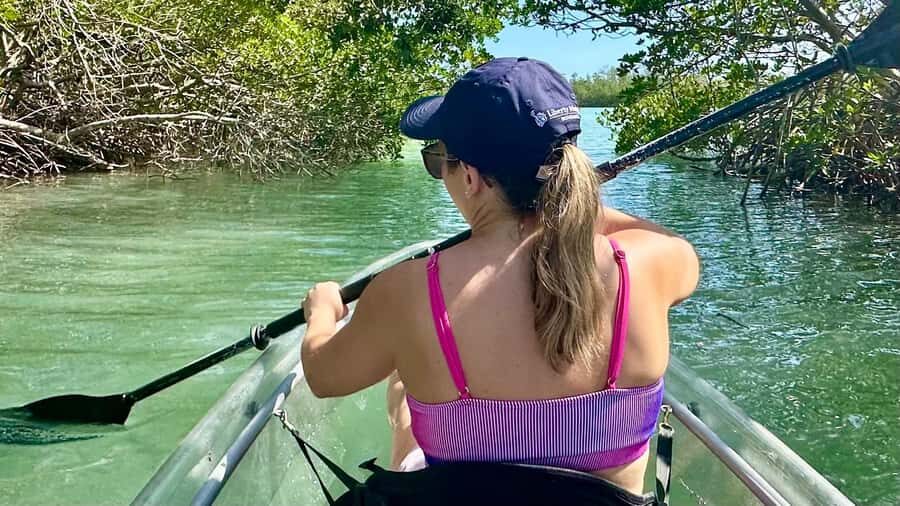 Sarasota: Siesta Key Clear Kayak Tour with Guide - What You Can Expect from the Tour