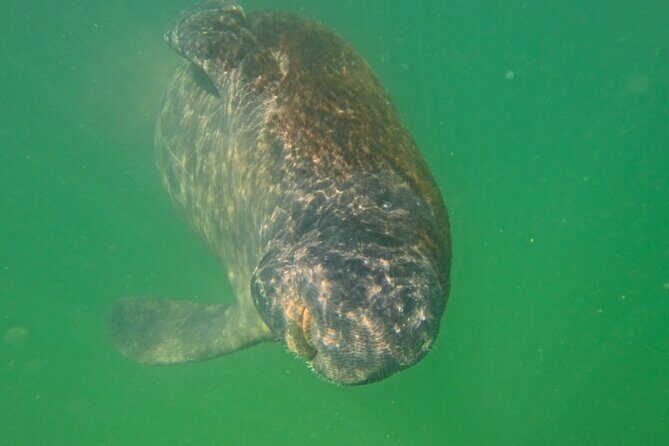 Sarasota Waterways Tour for All Ages - The Itinerary in Detail