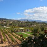 Saturday Legacy Wineries Wine Tour - Whats Included and What to Keep in Mind