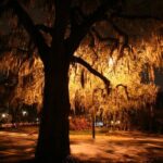 Savannah Ghosts of Christmas Past Tour - What to Expect from the Tour Experience