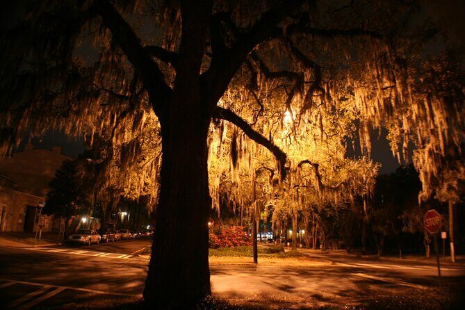 Savannah Ghosts of Christmas Past Tour - What to Expect from the Tour Experience