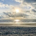 Savannah: History and Culture Walking Tour - What We Love About This Tour