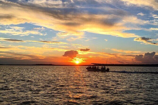 Savannah Sunset Dolphin Eco Tour - Comfort and Group Size
