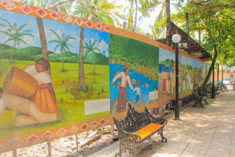 Sayulita and San Pancho Day Trip - Transportation and Logistics