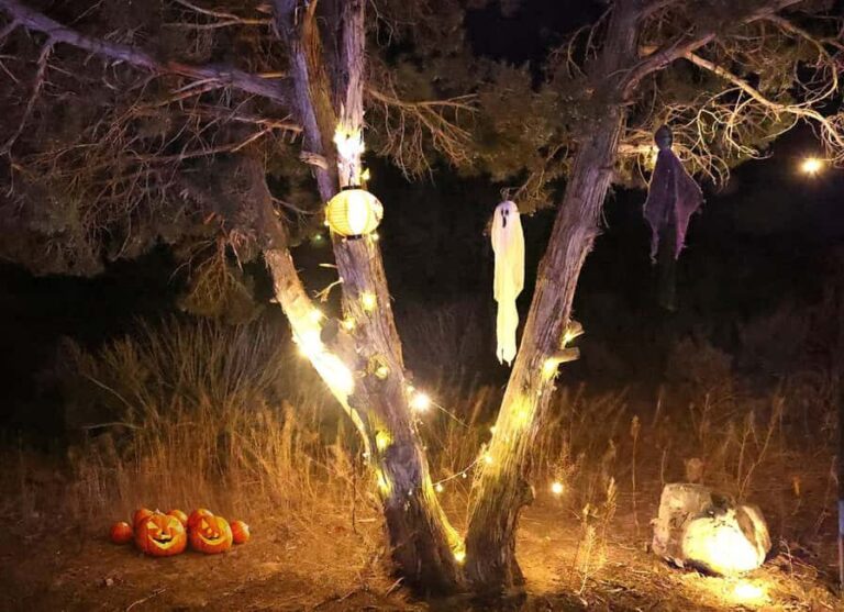 Scary Movie Night in the Desert - Final Thoughts