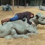 Scavenger Hunt Adventure in Toronto by 3Quest Challenge - Why This Tour Is a Great Choice