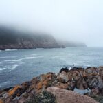 Scenic Bus Tour of the Northeast Avalon from St. John's - Practical Details and What to Expect