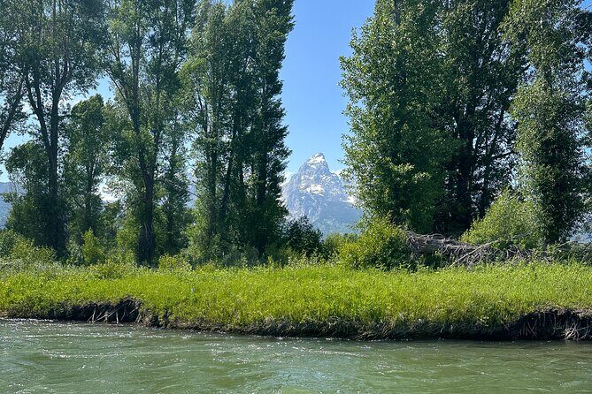 Scenic Float Trip on the Snake River in Grand Teton National Park - Value for Money in a Natural Setting