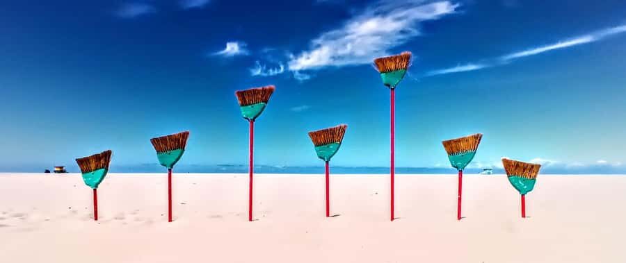 Scenic Wildlife Boat Cruise & Wine with a local Artist - Who Would Love This Experience?