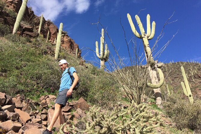 Scottsdale Desert Classic Guided Hiking Adventure - What Makes This Tour Stand Out?
