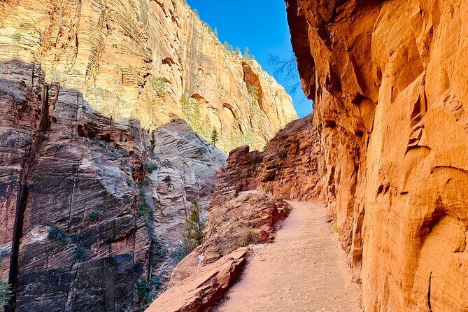 Scout Lookout: Small Group Guided Hike Zion Canyon - Frequently Asked Questions