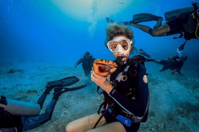 Scuba Certified Diving Immersion at Maroma Beach (1 or 2 tanks) - The Logistics: Making It Easy and Enjoyable