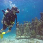 Scuba Dive at Musa Cancun for Certified Divers - What Makes This Tour a Special Experience