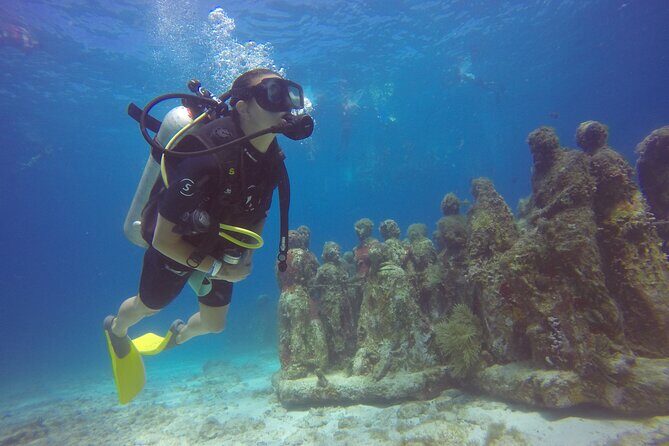 Scuba Dive at Musa Cancun for Certified Divers - What Makes This Tour a Special Experience