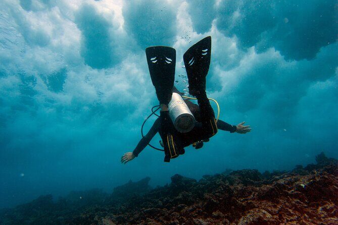 Scuba Diving (1st time) in Cancun Beginner's WELCOMED! - Why Travelers Rave About It