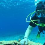 Scuba Diving Adventure in Riviera Maya Small Group Experience - A Closer Look at What You Can Expect