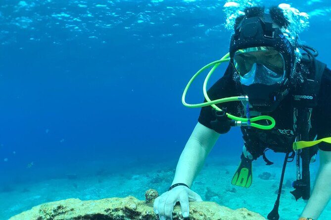 Scuba Diving Adventure in Riviera Maya Small Group Experience - A Closer Look at What You Can Expect