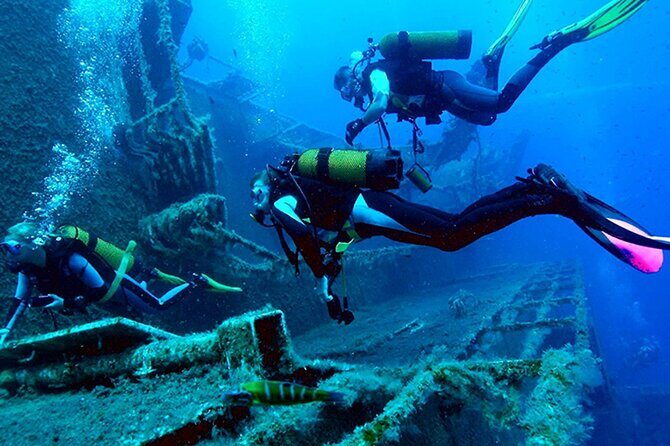 Scuba Diving around the Riviera Maya Reefs - Summing It All Up: Who Will Love This Tour?