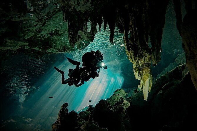 Scuba Diving in Cenote Dos Ojos from Playa del Carmen - Why Travelers Love This Tour